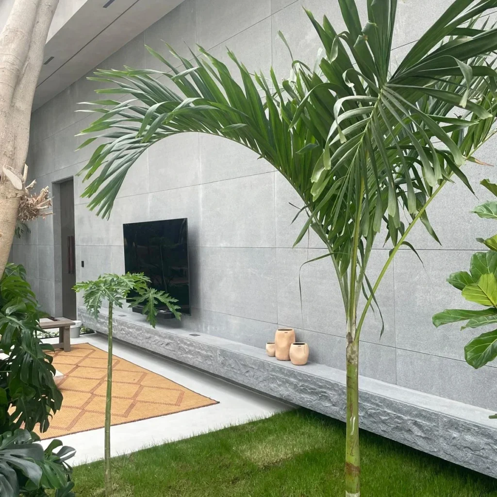 THE GRANITE GREY FARM